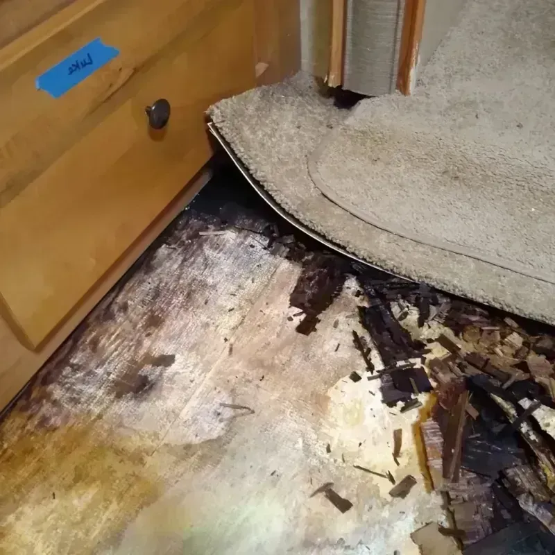 Wood Floor Water Damage in Manassas Park, VA